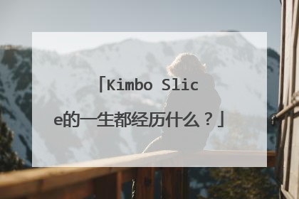 Kimbo Slice的一生都经历什么？