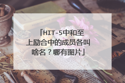 HIT-5中和至上励合中的成员各叫啥名?哪有图片