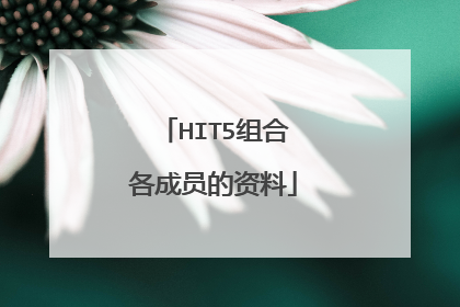 HIT5组合各成员的资料