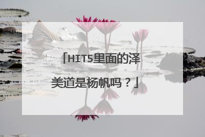 HIT5里面的泽美道是杨帆吗?