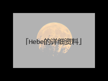 Hebe的详细资料