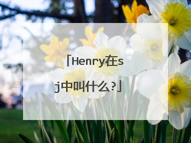 Henry在sj中叫什么?