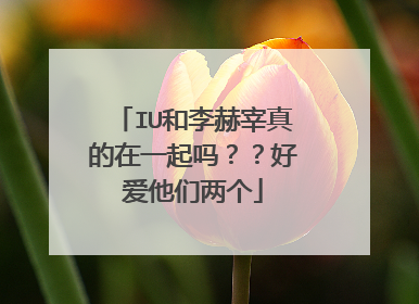 IU和李赫宰真的在一起吗??好爱他们两个