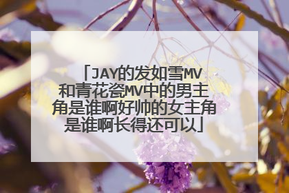 JAY的发如雪MV和青花瓷MV中的男主角是谁啊好帅的女主角是谁啊长得还可以
