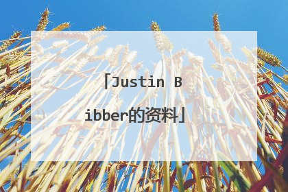 Justin Bibber的资料