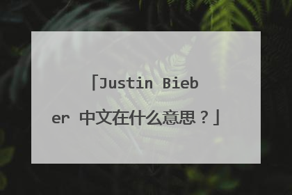 Justin Bieber 中文在什么意思?