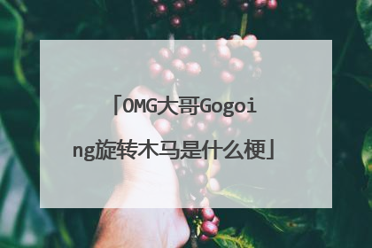 OMG大哥Gogoing旋转木马是什么梗