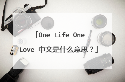 One Life One Love 中文是什么意思？