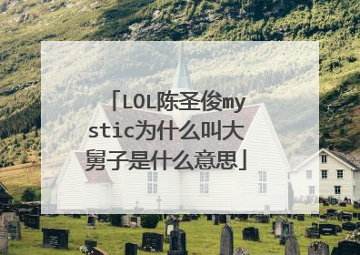 LOL陈圣俊mystic为什么叫大舅子是什么意思