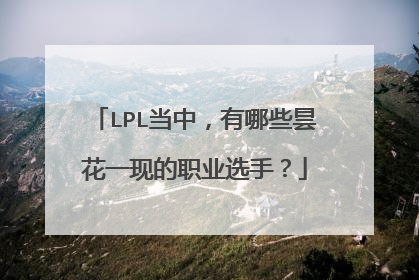 LPL当中,有哪些昙花一现的职业选手?