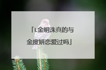 L金明洙真的与金度妍恋爱过吗
