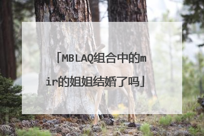 MBLAQ组合中的mir的姐姐结婚了吗