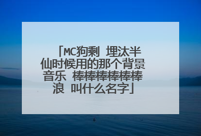 MC狗剩 埋汰半仙时候用的那个背景音乐 棒棒棒棒棒棒浪 叫什么名字