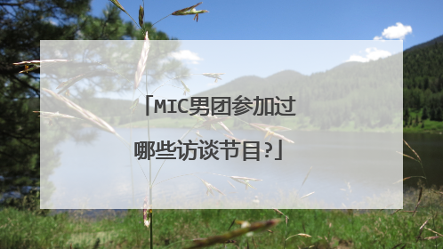 MIC男团参加过哪些访谈节目?