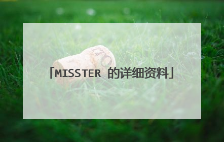 MISSTER 的详细资料
