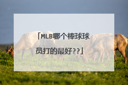 MLB哪个棒球球员打的最好??