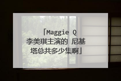 Maggie Q李美琪主演的 尼基塔总共多少集啊