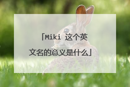 Miki 这个英文名的意义是什么