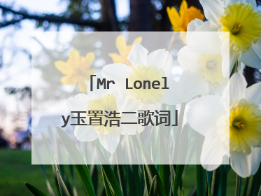 Mr Lonely玉置浩二歌词