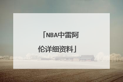 NBA中雷阿伦详细资料