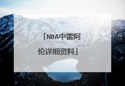 NBA中雷阿伦详细资料