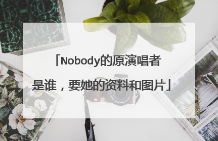 Nobody的原演唱者是谁，要她的资料和图片