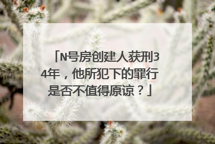 N号房创建人获刑34年,他所犯下的罪行是否不值得原谅?