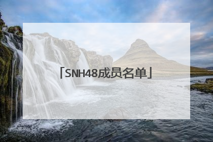 SNH48成员名单