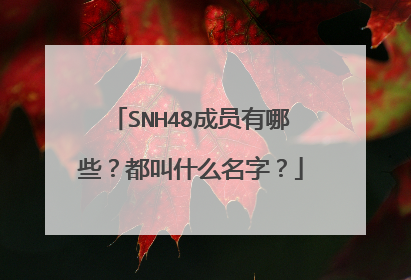 SNH48成员有哪些？都叫什么名字？