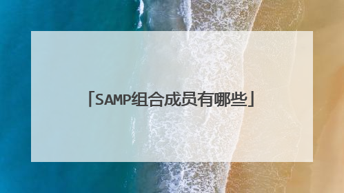 SAMP组合成员有哪些