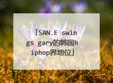 SAN.E swings gary的韩国hiphop界地位
