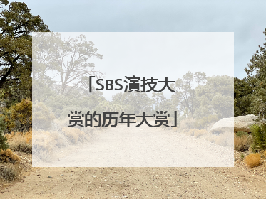 SBS演技大赏的历年大赏