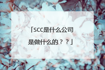 SCC是什么公司 是做什么的？？