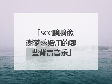 SCC鹏鹏像谢梦求婚用的哪些背景音乐