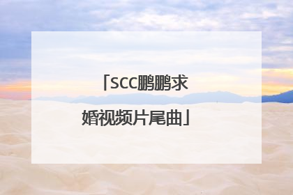 SCC鹏鹏求婚视频片尾曲