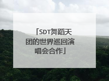SDT舞蹈天团的世界巡回演唱会合作