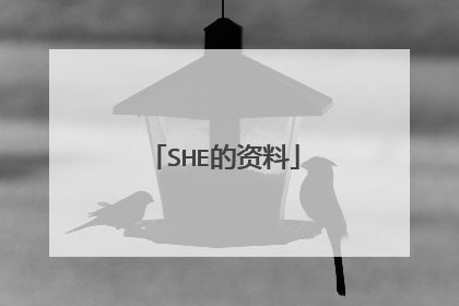 SHE的资料