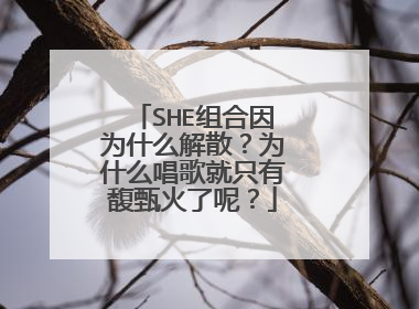 SHE组合因为什么解散？为什么唱歌就只有馥甄火了呢？