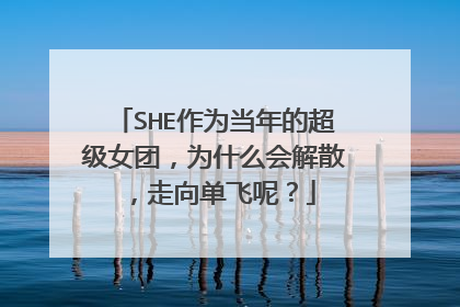 SHE作为当年的超级女团,为什么会解散,走向单飞呢?