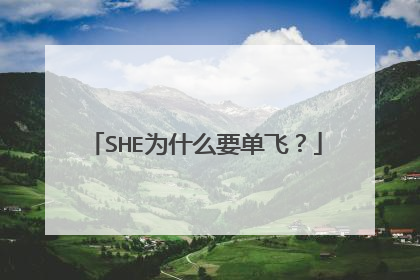 SHE为什么要单飞？