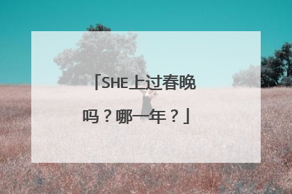 SHE上过春晚吗？哪一年？
