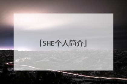 SHE个人简介