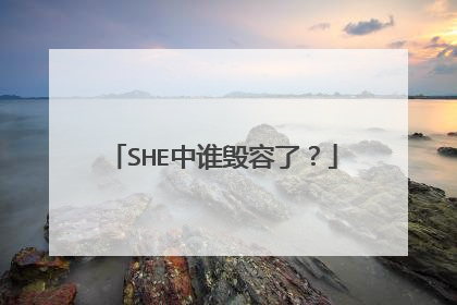 SHE中谁毁容了？