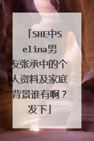 SHE中Selina男友张承中的个人资料及家庭背景谁有啊？发下