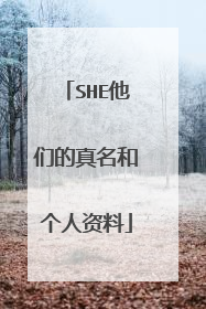 SHE他们的真名和个人资料