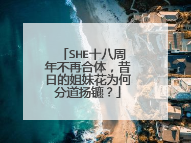 SHE十八周年不再合体，昔日的姐妹花为何分道扬镳？