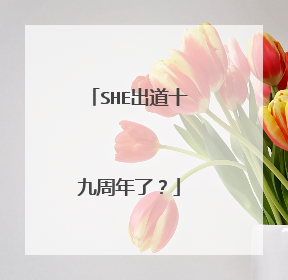 SHE出道十九周年了？