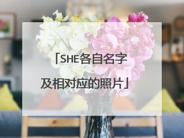 SHE各自名字及相对应的照片