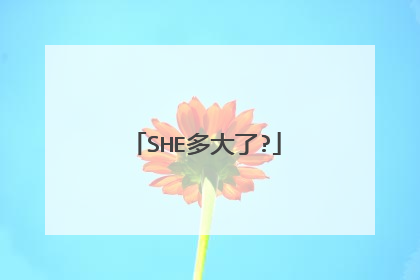 SHE多大了?