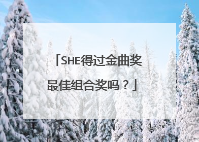 SHE得过金曲奖最佳组合奖吗?